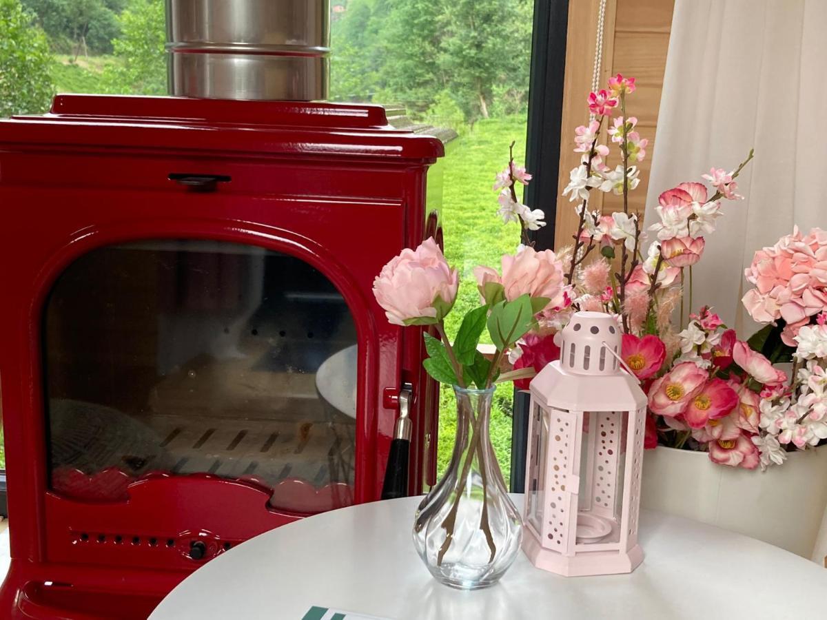 ホテル Vagona Tiny House リゼ エクステリア 写真